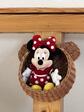 Hängekorb aus Weide Mickey