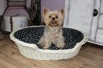 Katzenkorb, Hundebett aus Weide gebleicht mit Kissen Luisa IV.