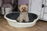 Katzenkorb, Hundebett aus Weide gebleicht mit Kissen Luisa IV.