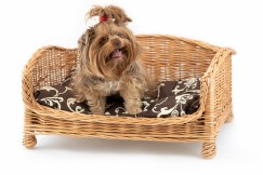 Katzenkorb, Hundebett aus Weide Dant VII.